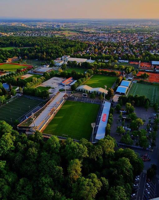 出强大的竞 出强大的竞